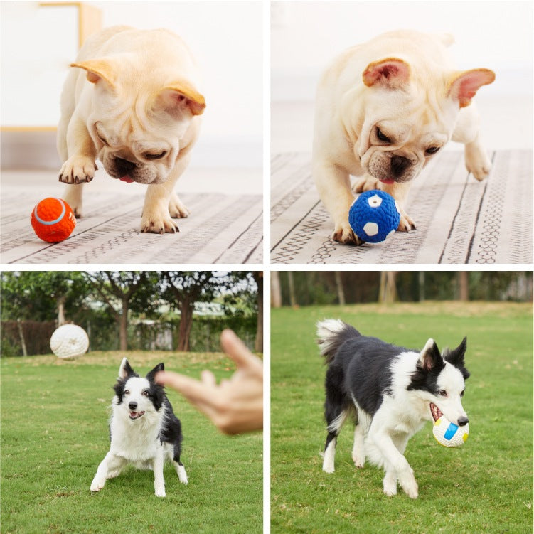 Latex Sports Ball Dog Toy – Textured Chew Ball