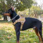 Tactical Dog Harness – Heavy Duty Control Harness