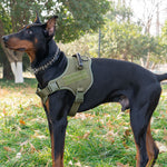 Tactical Dog Harness – Heavy Duty Control Harness