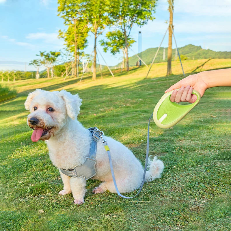 Retractable Dog Lead – 3M Adjustable Leash