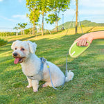 Retractable Dog Lead – 3M Adjustable Leash