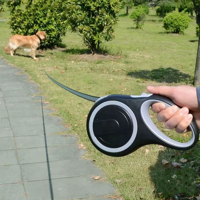 Retractable Dog Lead – 5–8M Adjustable Leash