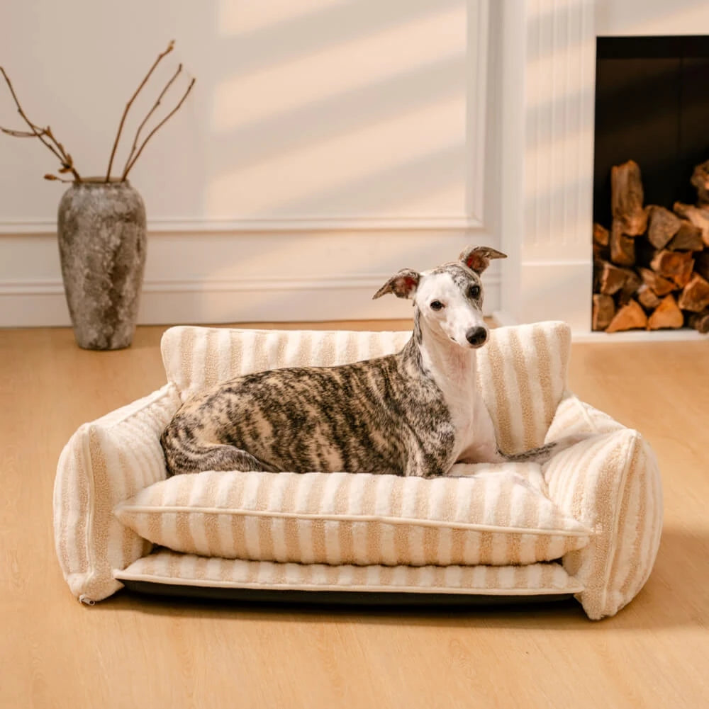 Orthopaedic Dog Sofa Bed – Striped Cushion