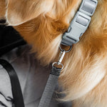 Waterproof Dog Car Seat – Padded Comfort