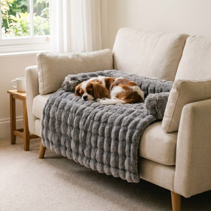 Calming Dog Sofa Bed – Plush Lounger
