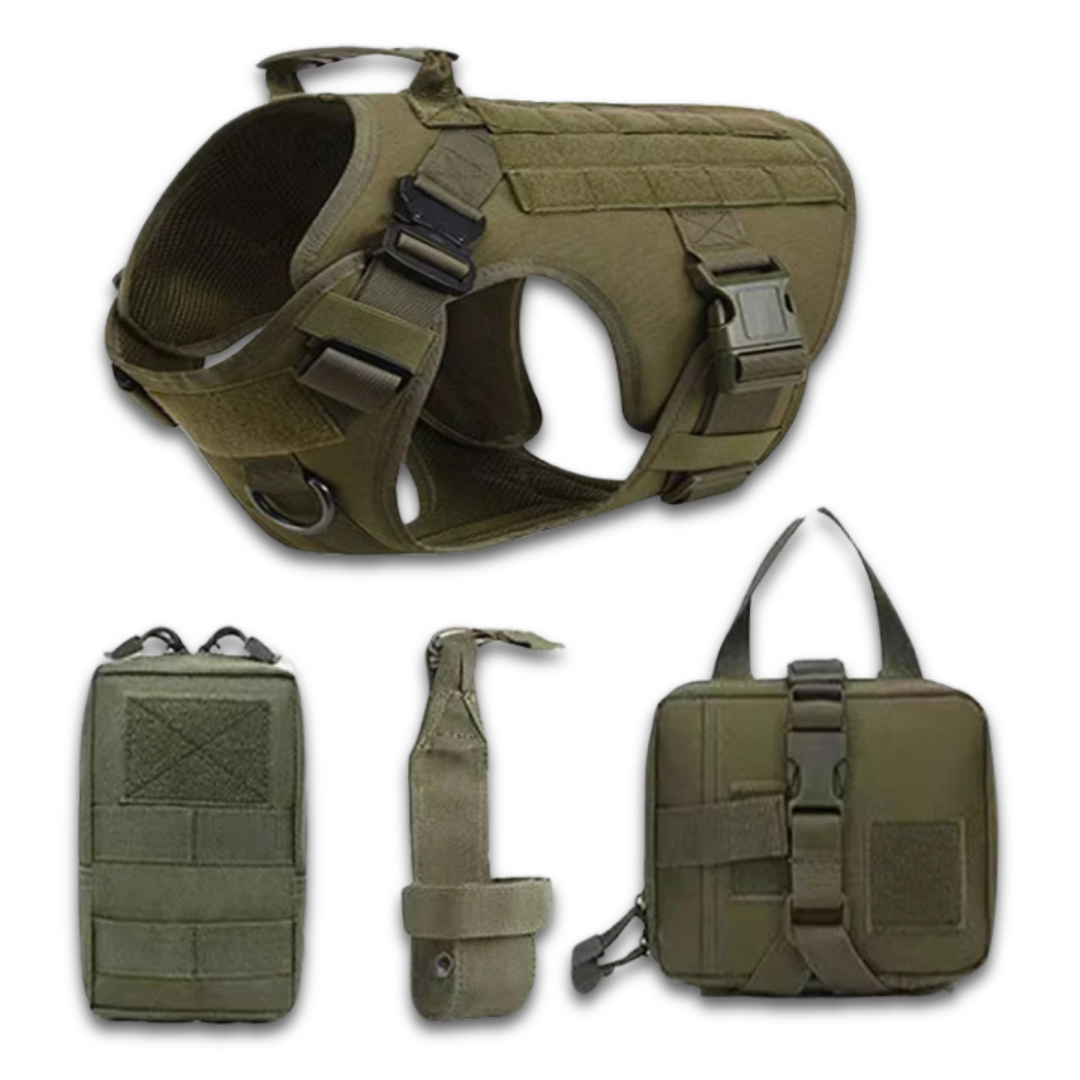 Tactical Dog Harness Set – 4 / 6 Piece Training Kit