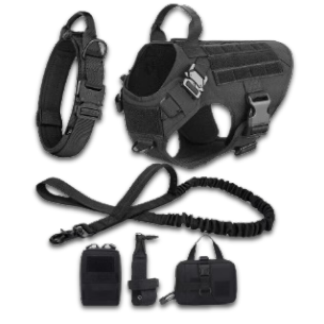 Tactical Dog Harness Set – 4 / 6 Piece Training Kit