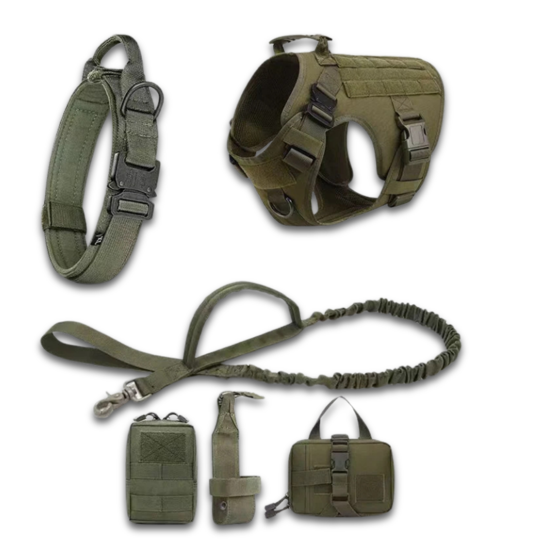 Tactical Dog Harness Set – 4 / 6 Piece Training Kit