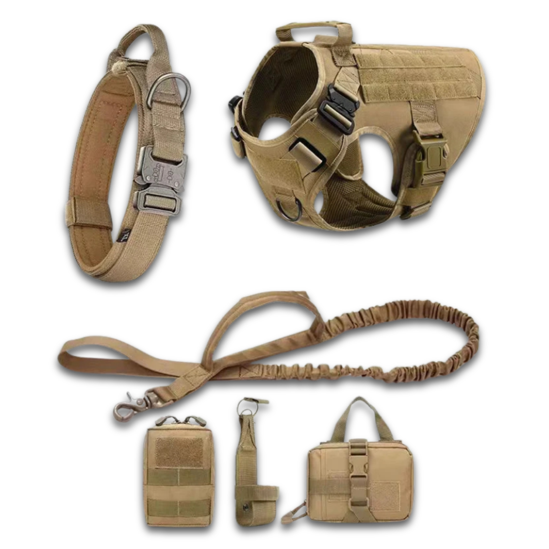 Tactical Dog Harness Set – 4 / 6 Piece Training Kit