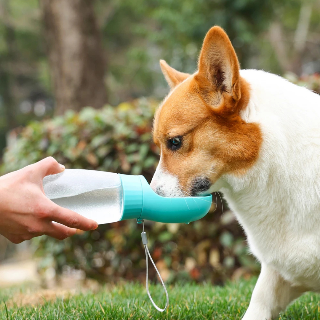 Leak-Proof Pet Travel Water Bottle – Portable Drinking Bottle