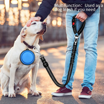 3-In-1 Dog Car Seat Belt – Shock Absorbing Safety Lead