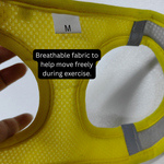 Reflective Mesh Dog Harness & Lead Set – Breathable Walking Harness
