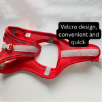 Reflective Mesh Dog Harness & Lead Set – Breathable Walking Harness