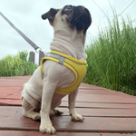Reflective Mesh Dog Harness & Lead Set – Breathable Walking Harness