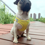 Reflective Mesh Dog Harness & Lead Set – Breathable Walking Harness
