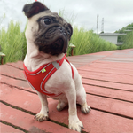 Reflective Mesh Dog Harness & Lead Set – Breathable Walking Harness