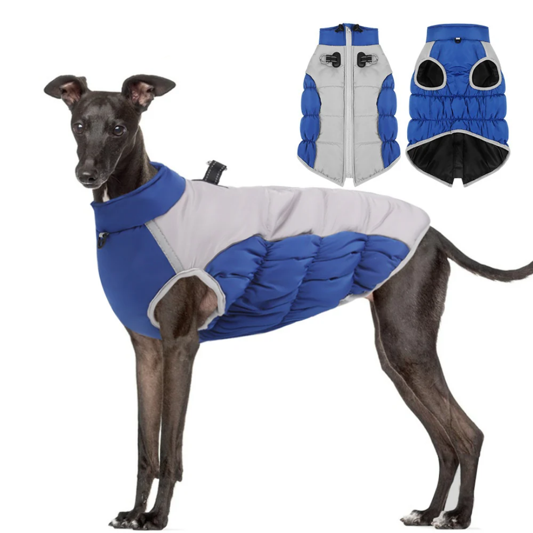 Reflective Winter Dog Puffer Coat – Insulated Warmth