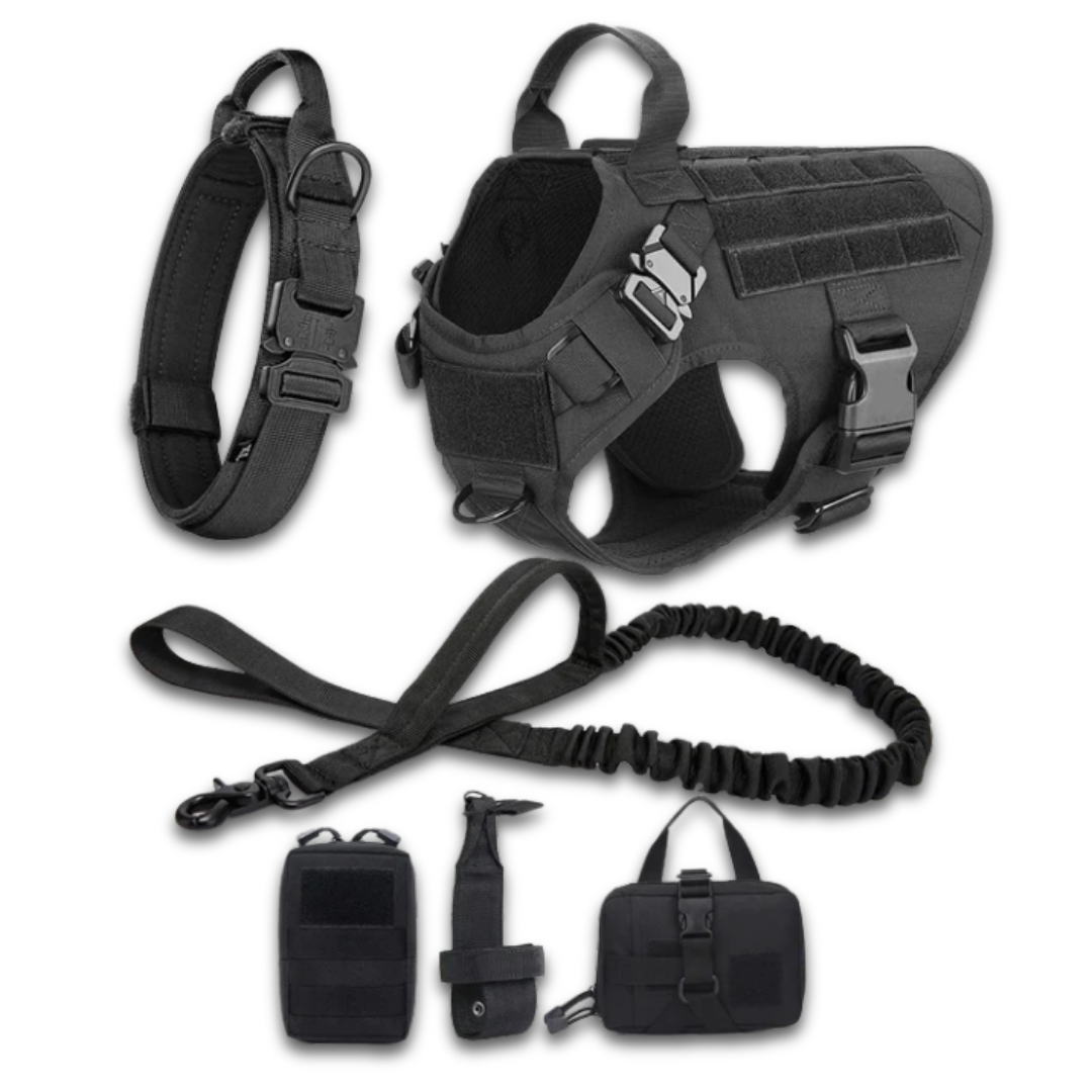 Tactical Dog Harness Set – 4 / 6 Piece Training Kit