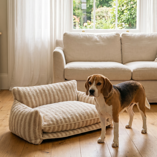 Orthopaedic Dog Sofa Bed – Striped Cushion
