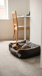 Waterproof Fleece Dog Bed – Soft Cushion