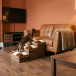 Foldable Dog Stairs – Hidden Storage