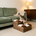 Foldable Dog Stairs – Hidden Storage
