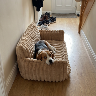 Customer dog photo 1