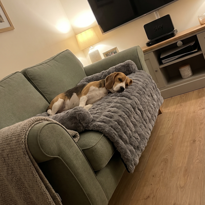 Customer dog photo 3