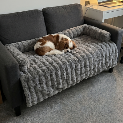 Customer dog photo 1