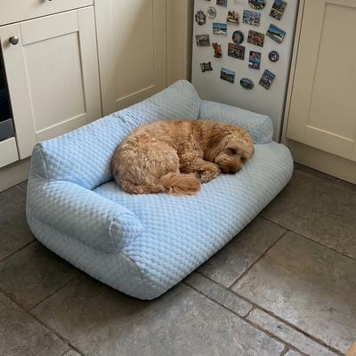Customer dog photo 1