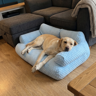 Customer dog photo 2