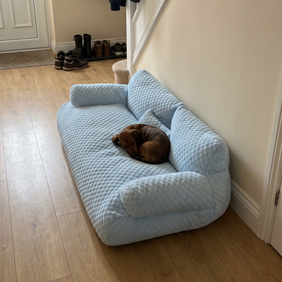 Customer dog photo 3