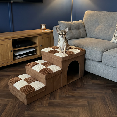 Customer dog photo 4