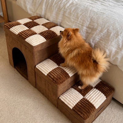 Customer dog photo 1