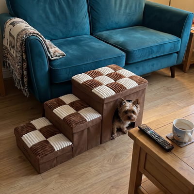 Customer dog photo 2