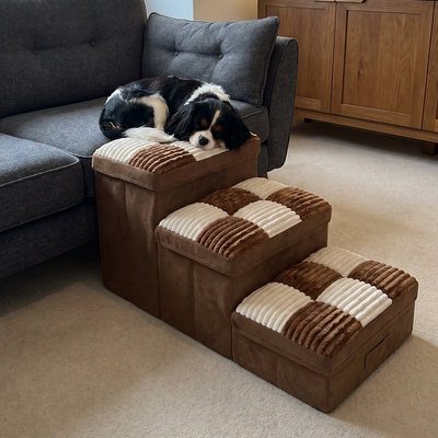 Customer dog photo 3