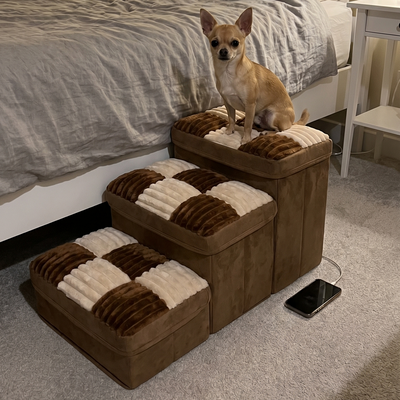 Customer dog photo 3