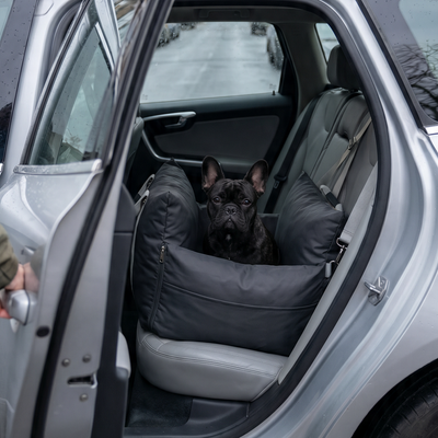 Customer dog photo 4