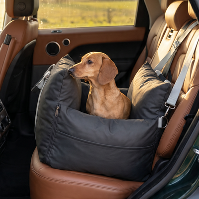 Customer dog photo 3