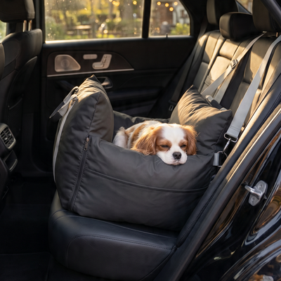 Customer dog photo 2