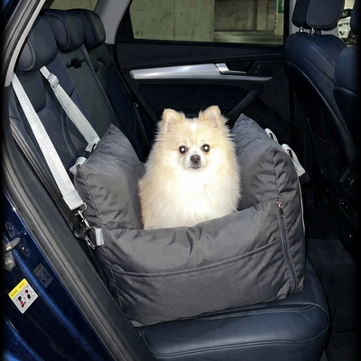 Customer dog photo 1