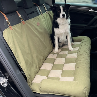 Customer dog photo 2