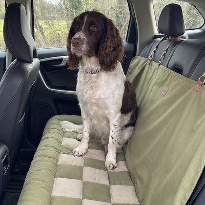 Customer dog photo 4