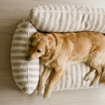 Orthopaedic Dog Sofa Bed – Striped Cushion