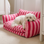 Orthopaedic Dog Sofa Bed – Striped Cushion
