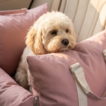 Luxury Water-Resistant Dog Car Seat – Travel Carrier