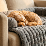 Calming Dog Sofa Bed – Plush Lounger