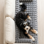 Calming Dog Sofa Bed – Plush Lounger