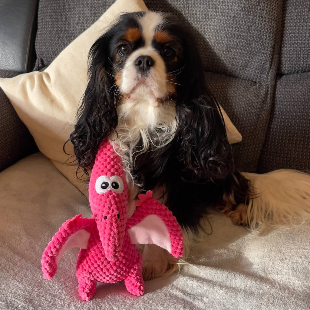 Plush Pterosaur Dog Toy – Squeaky Chew Toy